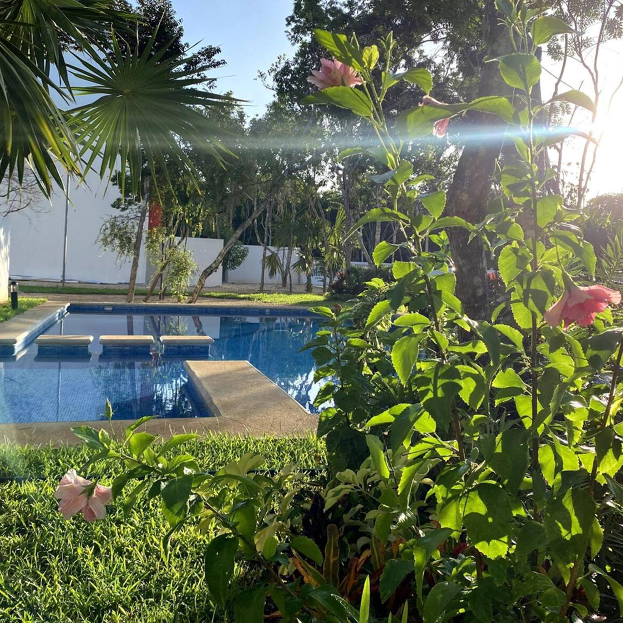 칸쿤 Bonito Departamento En Privada Con Alberca 아파트 외부 사진